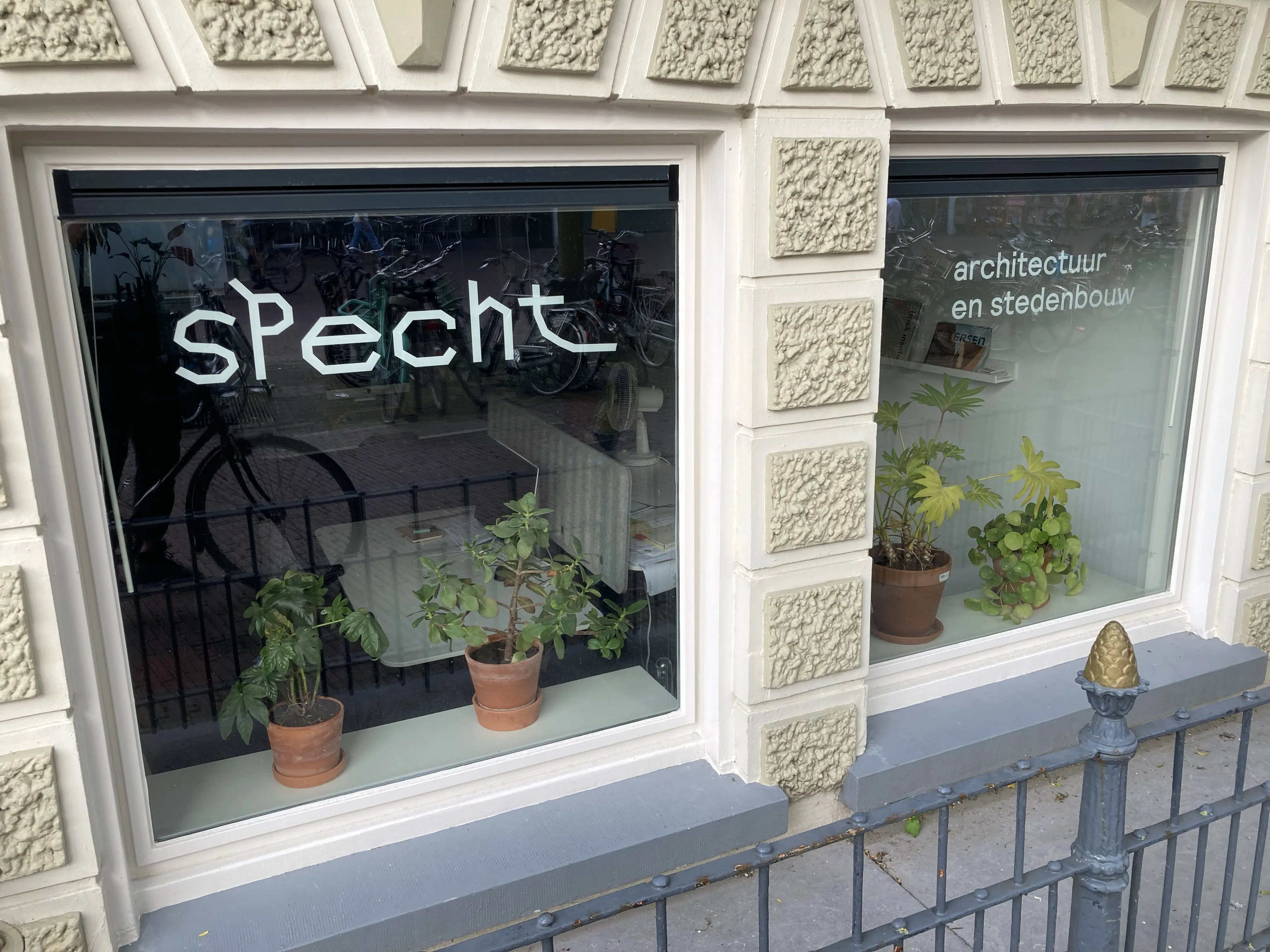 Specht